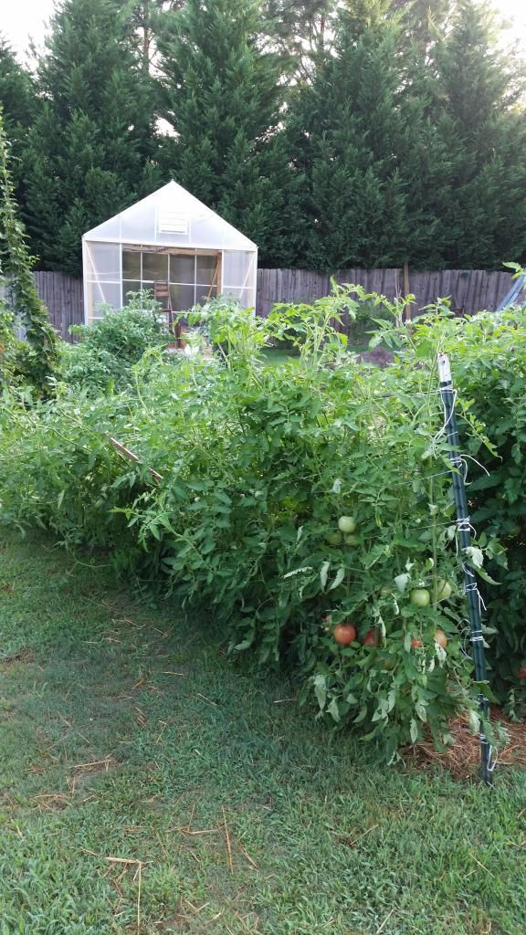  photo 20140725_075046.jpg